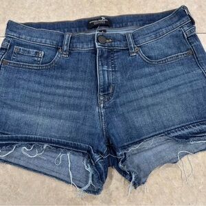 Banana Republic Light Blue Denim Shorts